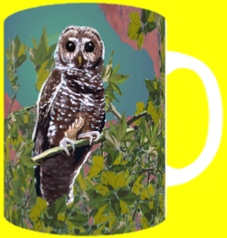 SPOTTED OWL